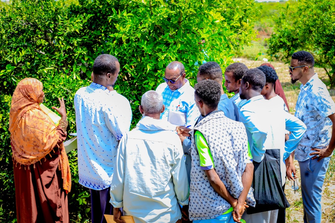 caresom's tweet image. In Hargaysa, Somaliland, CARE hosted a 4-day Integrated Pest Management (IPM) Training of Trainees as part of the Home-Grown School Feeding program! Funded by @FinlandinSom, it empowers participants to support school management & local farmers with sustainable pest control.