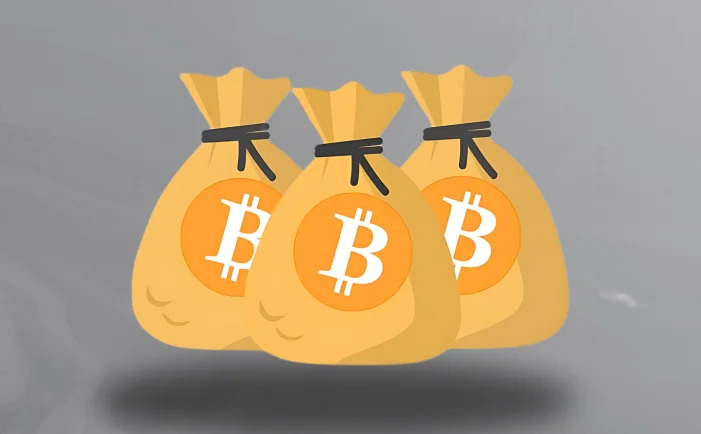 🚨 BREAKING: "Il 2025 segna l'inizio della 'stagione dei cloni': il mercato delle stock coin si trasforma con le criptovalute"