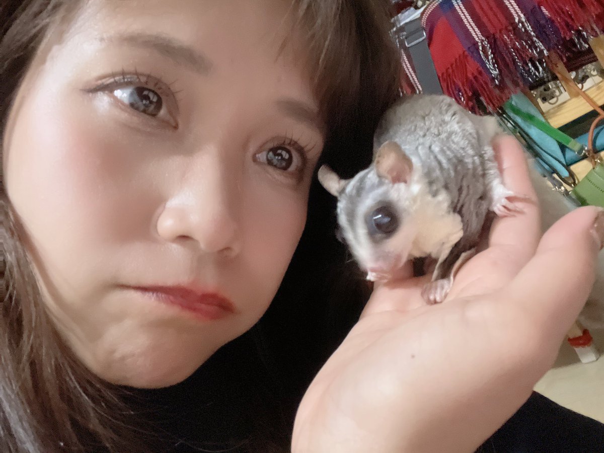 feamyuki's tweet photo. 7/12(土)は一区切りするFEAMと、新しく動くFEAMの変化の瞬間を見て頂きたいキモチです🍀*゜

一応…712は私の誕生日当日の、バースデーライブあるって事も忘れないでね一応ね… https://t.co/pgxDshopu9