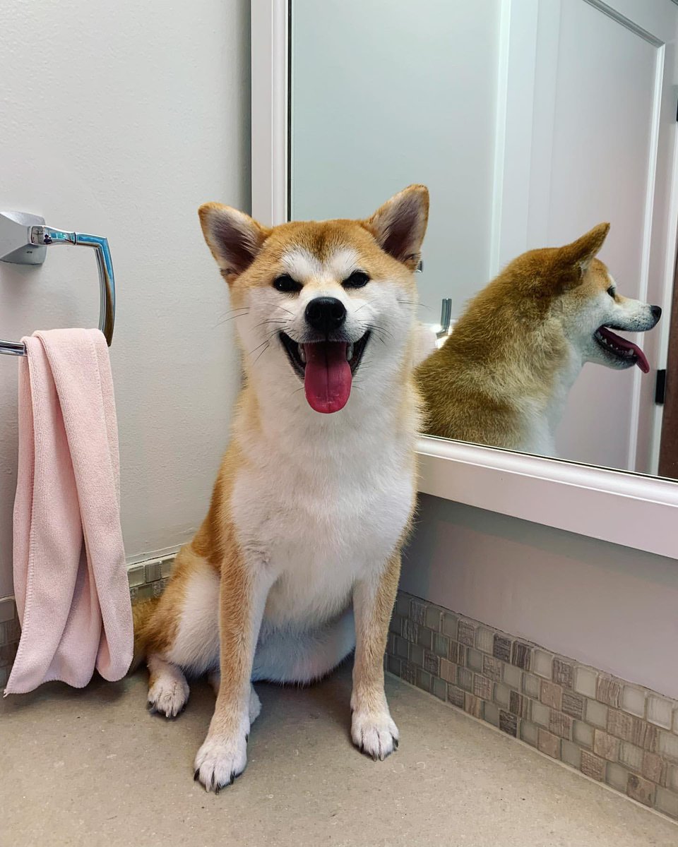 狗急VPN，支持ChatGPT、高速稳定不卡顿，不限流量放心用～goj123.com/app/t20.html（复制到浏览器中打开）