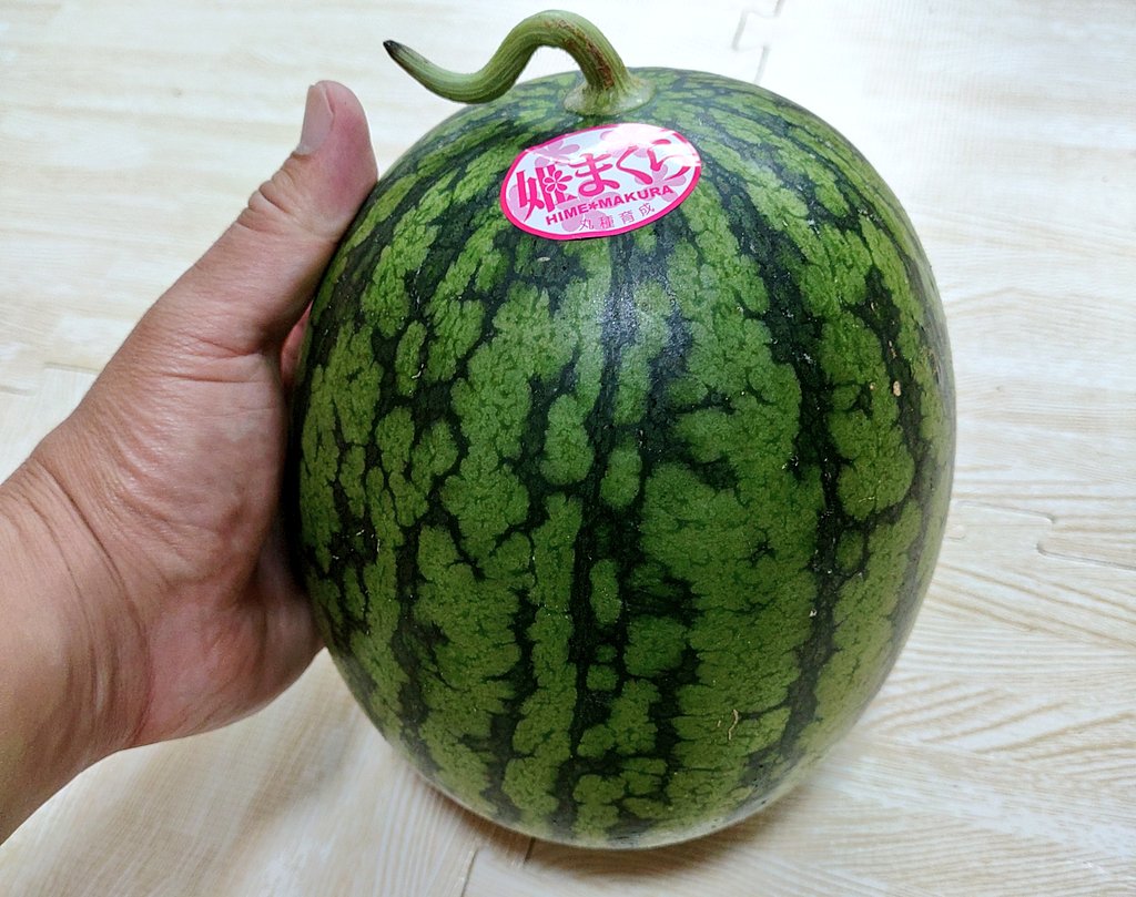 のりぞうさんから親戚の家？で収穫されたスイカ🍉をいただいてしまいました！！ありがとうございます😭　わが家の食料備蓄量（植物系）が増えてテンションが上りますが、これは早めに食べます🤤