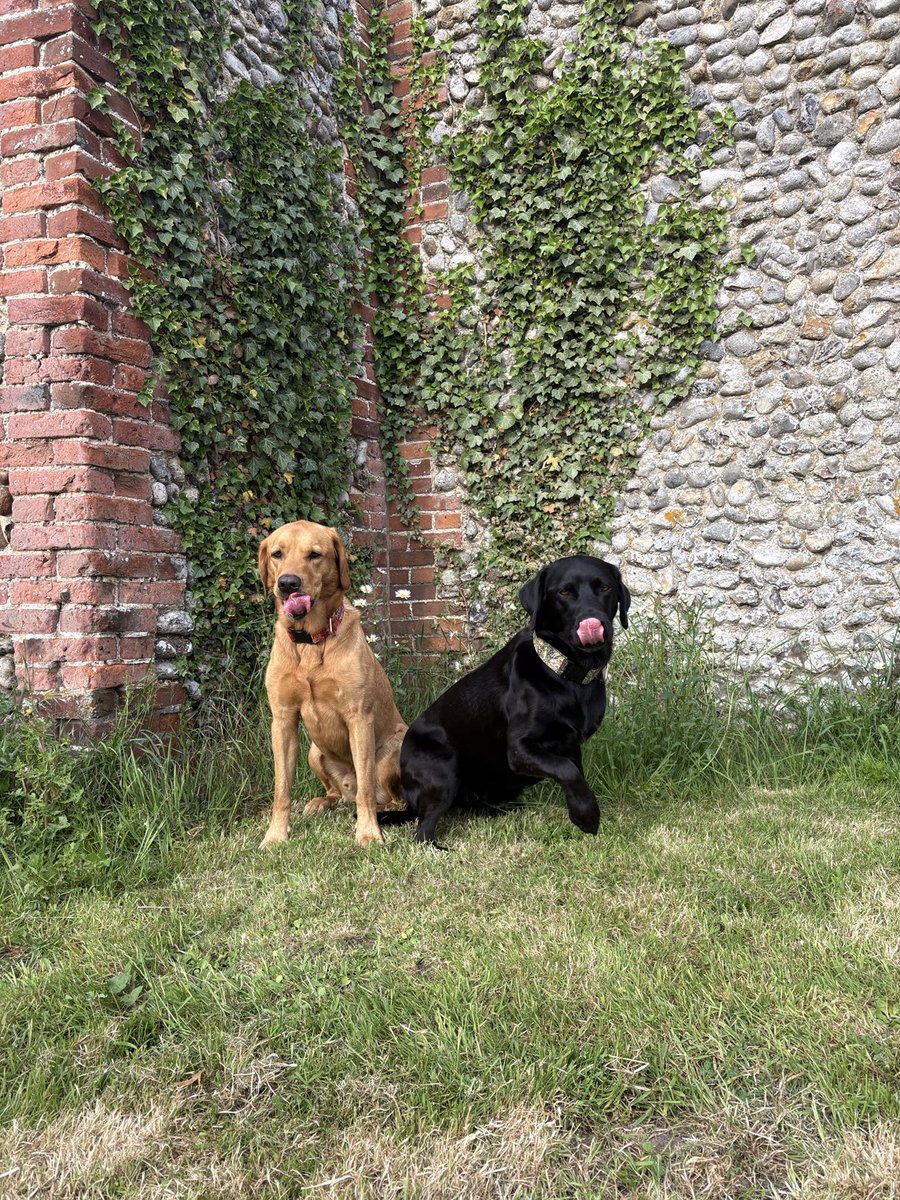 EmilyTaylor27's tweet image. A ridiculous #TongueOutTuesday from John & Danny on our Norfolk holiday!