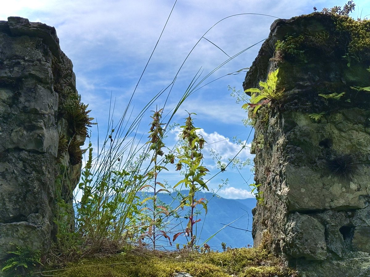 Замок Миолан в Савойе 🏰