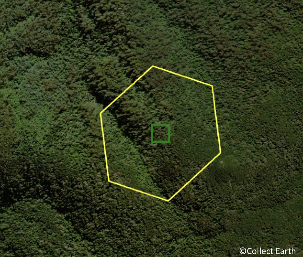 Experts in Australia have been training in the latest remote sensing methodologies to track changes in forests ahead of the Remote Sensing Survey of <a href="/FAO/">Food and Agriculture Organization</a>’s Global Forest Resources Assessment 

More 👉 ow.ly/bZ2N50W34jP

#FRA2025 <a href="/ABARES/">ABARES</a>