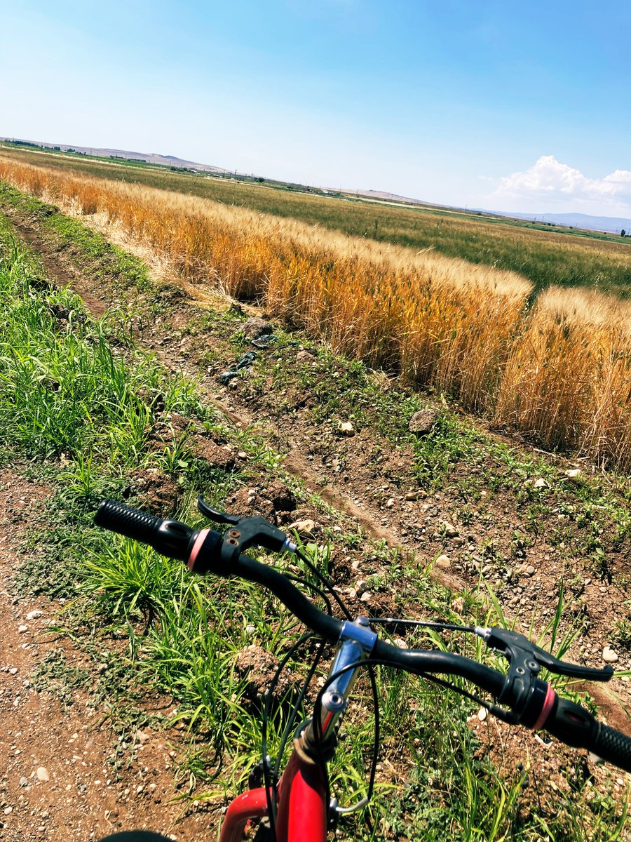 BARAONDA_K's tweet photo. Her yol yeni bir macera! 🚴‍♂️🌾
#DoğaSevgisi #BisikletKeyfi https://t.co/Je4sweTzqV