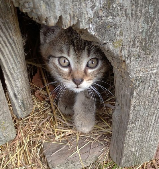 Szukam pracy od 12 do 13, oczywiście z przerwą na obiad.