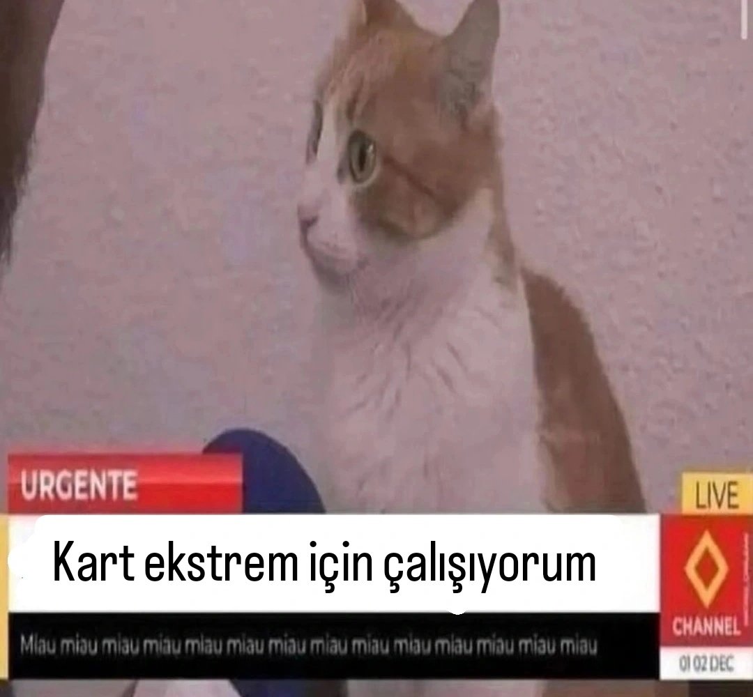 ANLIK (@anlikmod) on Twitter photo 