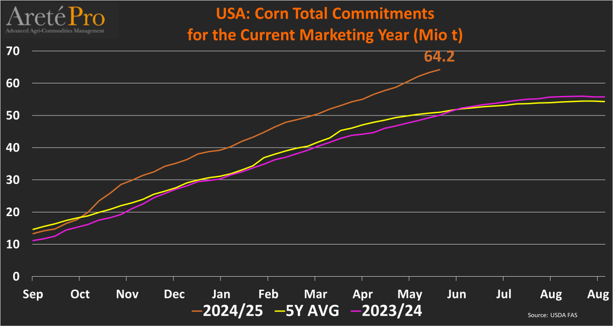 Areté - Market Intelligence (@mkt_intl) on Twitter photo #US 🇺🇸 #corn🌽TOTAL #commitment (as of May 22nd) for the current MY (2024/25). Total commitments totaled 64.2 Mio t (+28% vs LY). <a href="/USDAForeignAg/">Foreign Ag Service</a> #US 🇺🇸 #corn🌽TOTAL #commitment (as of May 22nd) for the current MY (2024/25). Total commitments totaled 64.2 Mio t (+28% vs LY). <a href="/USDAForeignAg/">Foreign Ag Service</a>