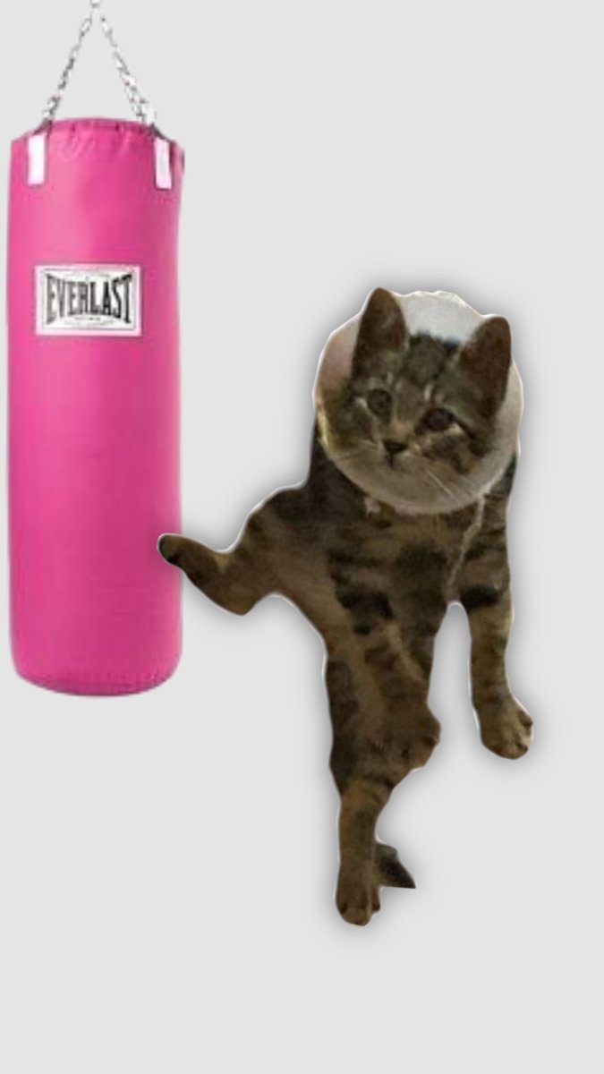 Evet Super Çilek de hala yuva arıyor. İstanbul'da. Her gün ilan açacağım (sanki 2 haftadır açmıyor gibi)... Day 1