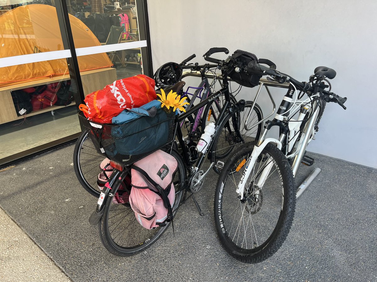 Airport BUG tweet media