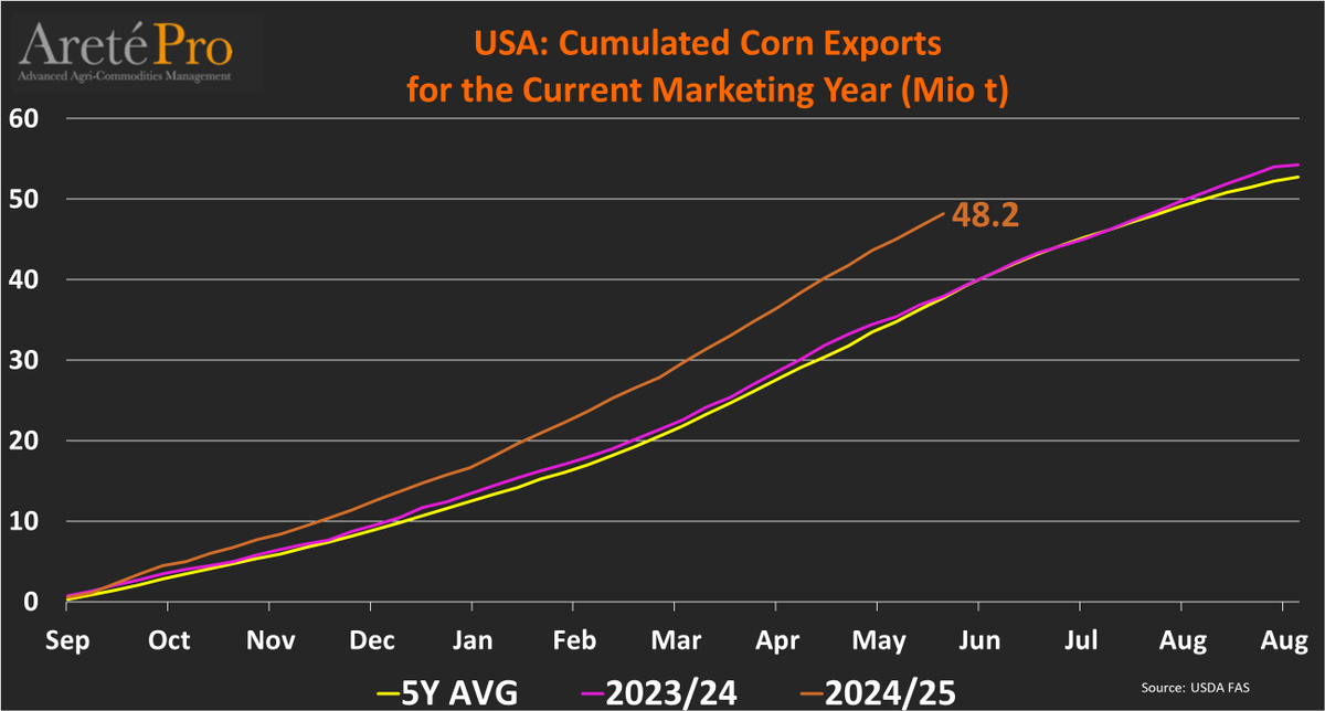 Areté - Market Intelligence (@mkt_intl) on Twitter photo #US 🇺🇸 #corn🌽TOTAL #exports🌎(as of May 22nd) for the current MY (2024/25). Cumulated exports totaled 48.2 Mio t (+27% vs LY). <a href="/USDAForeignAg/">Foreign Ag Service</a> #US 🇺🇸 #corn🌽TOTAL #exports🌎(as of May 22nd) for the current MY (2024/25). Cumulated exports totaled 48.2 Mio t (+27% vs LY). <a href="/USDAForeignAg/">Foreign Ag Service</a>