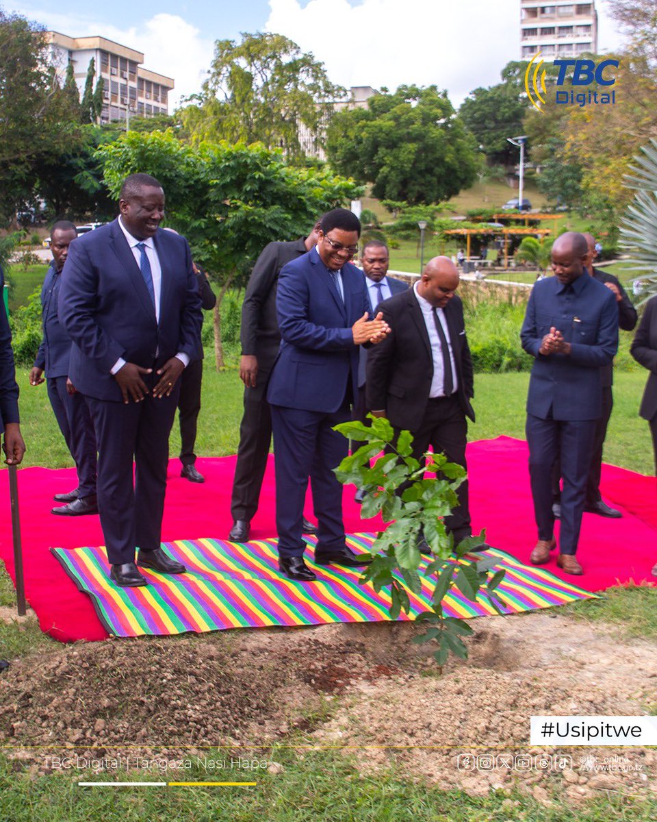 TBC DIGITAL (@tbconlinetz) on Twitter photo Waziri Mkuu Kassim Majaliwa leo Juni 3, 2025, amepanda mti katika maeneo ya ukumbi wa mikutano wa maktaba mpya ya Chuo Kikuu cha Dar es Salaam, ikiwa ni ishara ya kuunga mkono juhudi za uhifadhi wa mazingira. Waziri Mkuu Kassim Majaliwa leo Juni 3, 2025, amepanda mti katika maeneo ya ukumbi wa mikutano wa maktaba mpya ya Chuo Kikuu cha Dar es Salaam, ikiwa ni ishara ya kuunga mkono juhudi za uhifadhi wa mazingira.