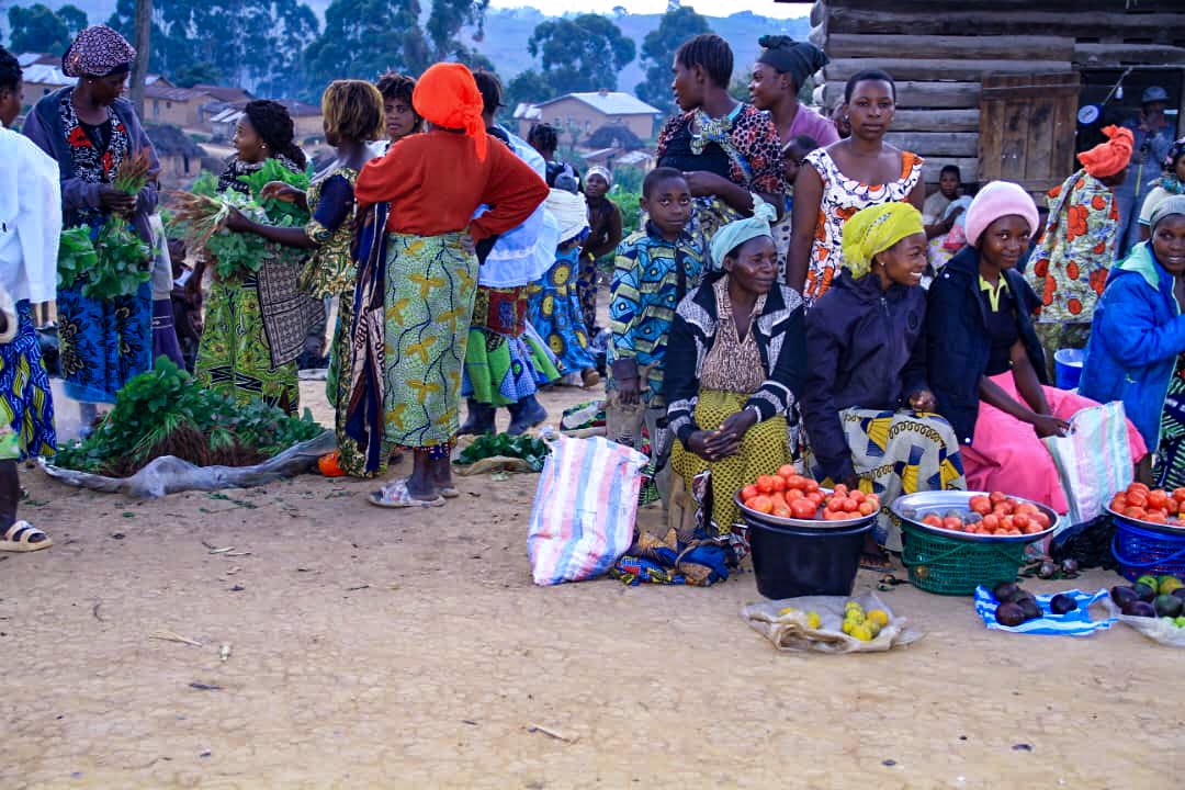 IrMihigo's tweet photo. À #Lubero, grâce au soutien du @FHRDC_RDC, #VIFEDE et #SOCOAC accompagnent 833 ménages vulnérables en #SECAL.
Résultat : 🌽🥬 les marchés de Kitsombiro & Lubango débordent de produits maraîchers issus de leurs propres champs.
« Une récolte, un revenu, une dignité retrouvée 💪 » https://t.co/i06mcE8P38