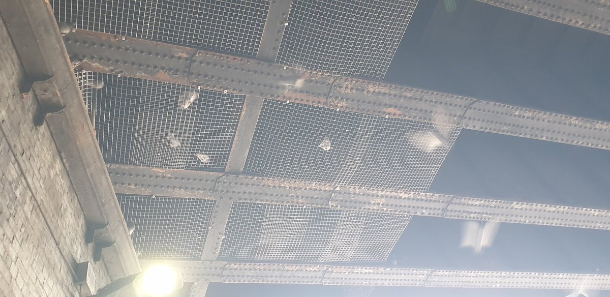 For 4 days now we’ve fighting to stop <a href="/networkrail/">Network Rail</a> from committing wildlife crime. Normally such a wildlife conscious company we’re shocked by the carnage at this bridge in Bounds Green, North London. We’ve tried everything now we need your help💪🏽

☎️0345 711 4141

#WidlifeCrime