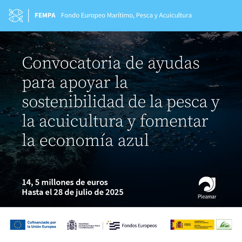 FBiodiversidad's tweet photo. 🌊 ¿Impulsas la sostenibilidad pesquera o acuícola?
📢 El #ProgramaPleamar financia proyectos con impacto ambiental positivo y enfoque supra autonómico.
📅 Solicita antes del 28 de julio
💶 Desde 100.000 €
🇪🇺 Cofinancia @FondosUE_Esp #FEMPA