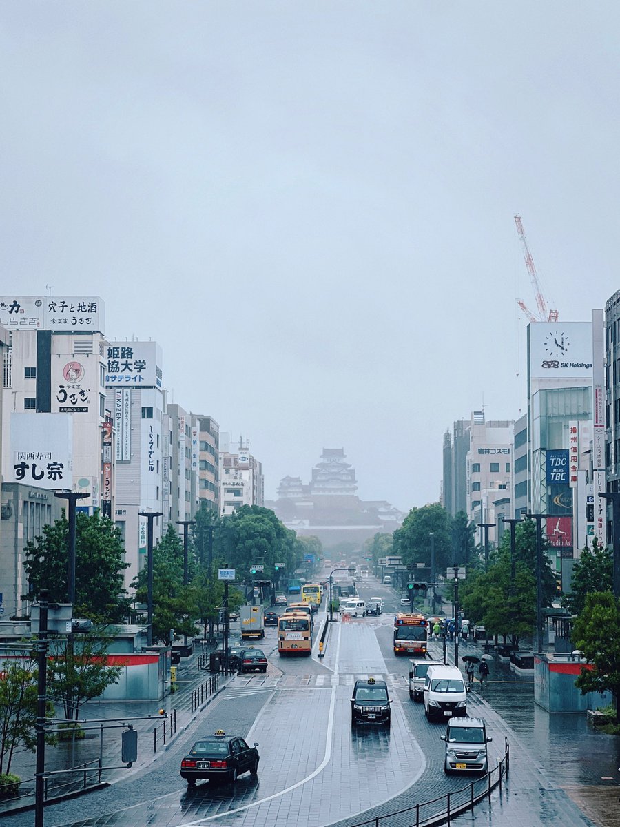 今日は姫路🏯
だけど天気悪くて残念🌧️