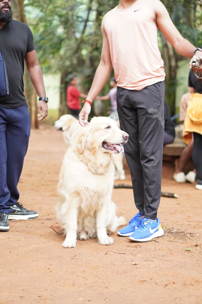 Sunday at Cubbon Park 🌳