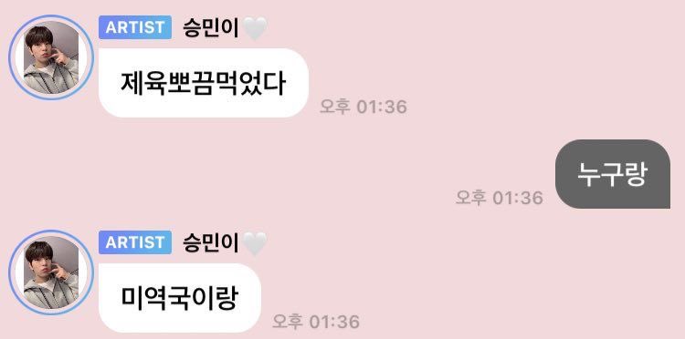 스트레이키즈 승민