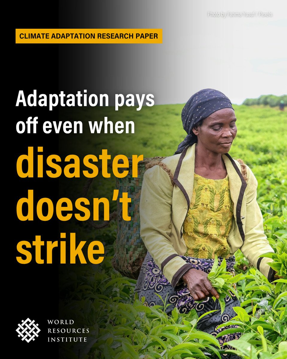 World Resources Institute (@worldresources) on Twitter photo New <a href="/WRIClimate/">WRI Climate</a> research finds over 50% of monetized benefits from adaptation investments can occur even without climate shocks.
In other words, adaptation is far more than a safety net— it’s a launchpad for growth.
Find out more: go.wri.org/climate-adapta…
#InvestInAdaptation New <a href="/WRIClimate/">WRI Climate</a> research finds over 50% of monetized benefits from adaptation investments can occur even without climate shocks.
In other words, adaptation is far more than a safety net— it’s a launchpad for growth.
Find out more: go.wri.org/climate-adapta…
#InvestInAdaptation