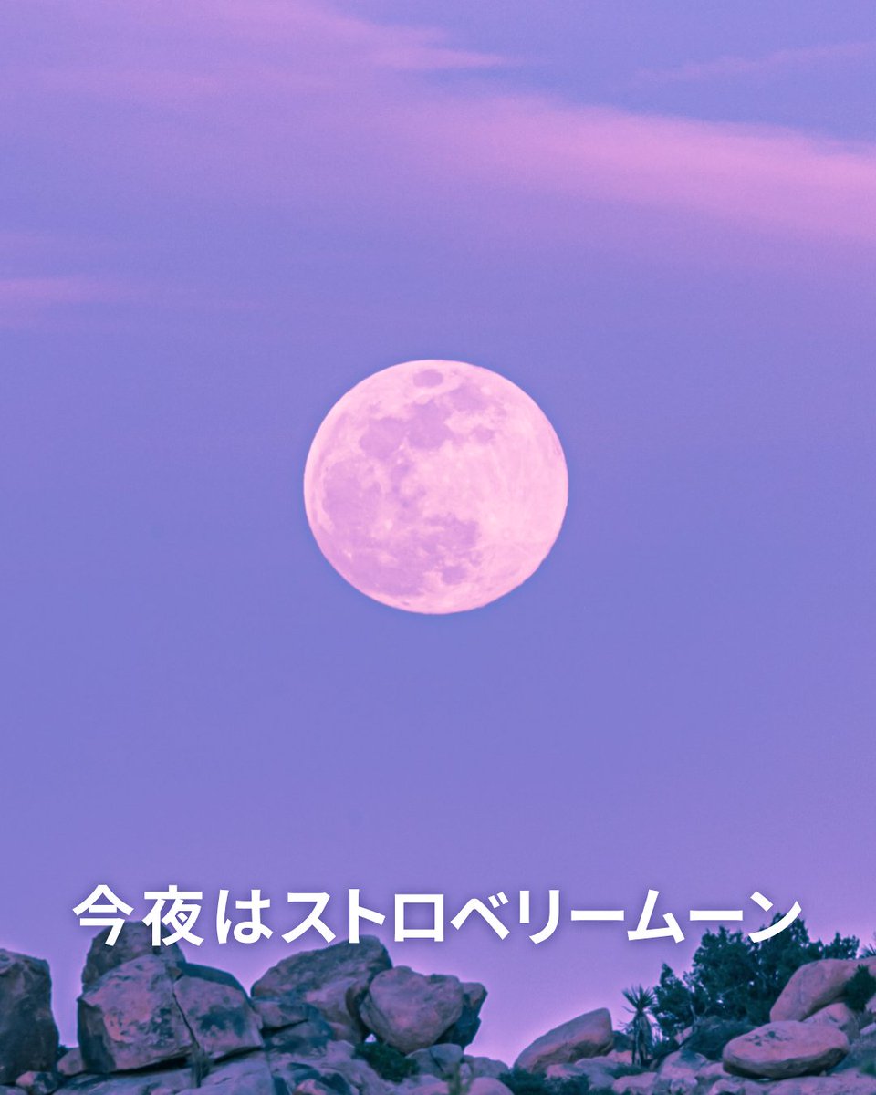 🍓🌕 6月の満月は「 #ストロベリームーン 」🌕🍓

今日、16時44分に満月の瞬間を迎えます
この名前はアメリカ先住民の伝統に由来しており、6月が野いちごの収穫時期であることから名付けられました

初夏を感じるこの季節、夕涼みも兼ねて満月を楽しんでみてください！✨