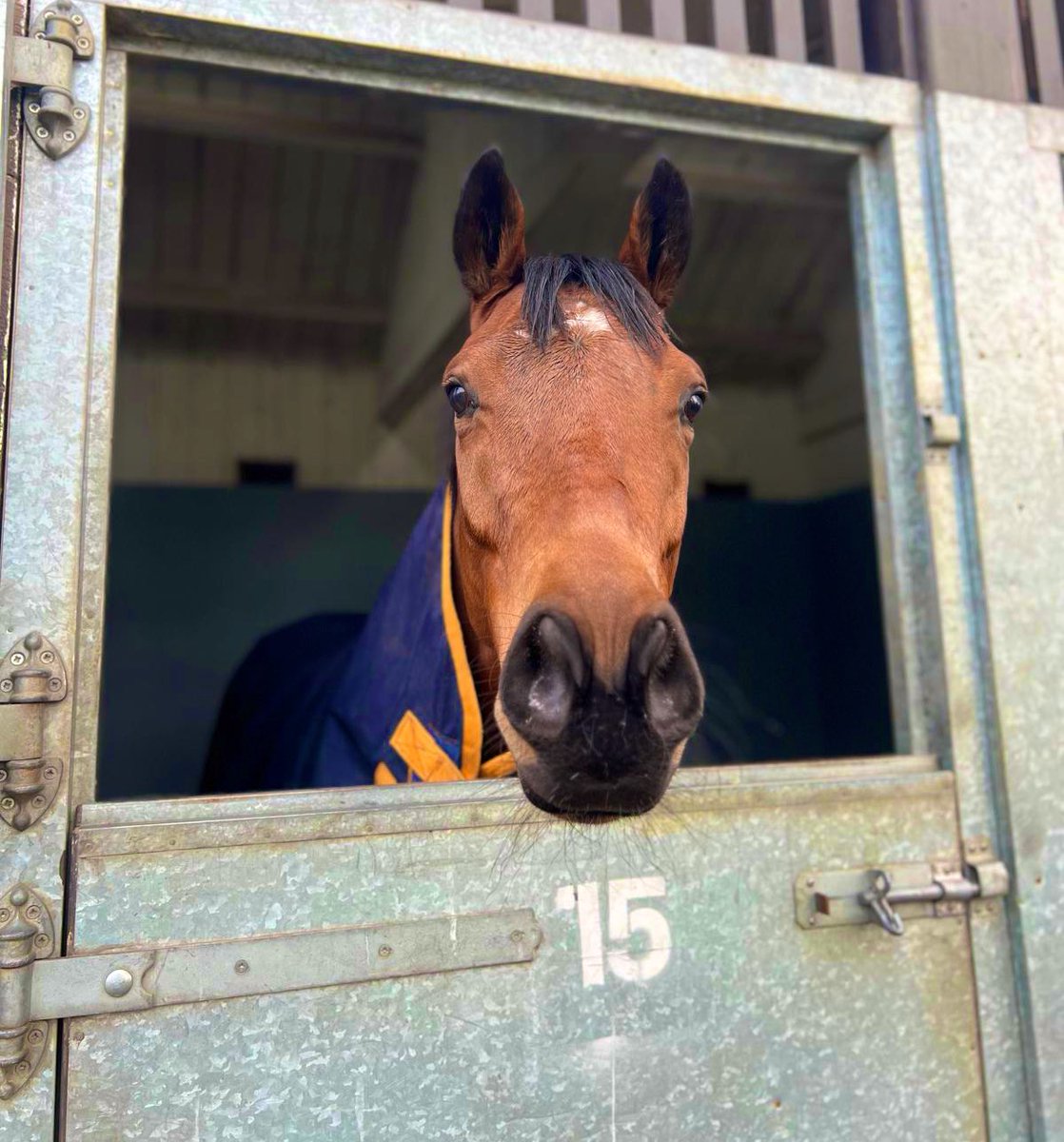 Coral Racing Club (@crcofficial) on Twitter photo We are off to <a href="/WolvesRaces/">Wolverhampton Races</a> once again as ๐๐ฌ๐ฉ๐ข๐ซ๐ ๐๐จ ๐๐ฅ๐จ๐ซ๐ฒ runs in the 8:00 this evening with <a href="/ONaillers2010/">Kieran O Neill</a> in the saddle! ๐
Letโs hope he can keep his run of form going for our ๐ owners for the day heading to the track to cheer him home! ๐๐ฝ
<a href="/ahaynesracing/">Alice Haynes Racing</a> ๐ตโช๏ธ We are off to <a href="/WolvesRaces/">Wolverhampton Races</a> once again as ๐๐ฌ๐ฉ๐ข๐ซ๐ ๐๐จ ๐๐ฅ๐จ๐ซ๐ฒ runs in the 8:00 this evening with <a href="/ONaillers2010/">Kieran O Neill</a> in the saddle! ๐
Letโs hope he can keep his run of form going for our ๐ owners for the day heading to the track to cheer him home! ๐๐ฝ
<a href="/ahaynesracing/">Alice Haynes Racing</a> ๐ตโช๏ธ