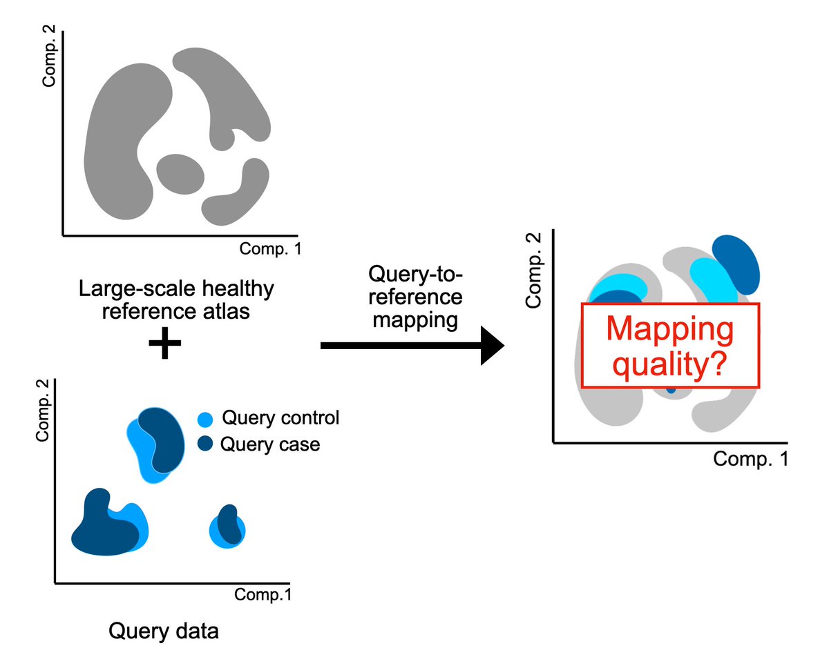 Lisa Sikkema (@sikkemalisa) on Twitter photo Analyzing your single-cell data by mapping to a reference atlas? Then how do you know the mapping actually worked, and you’re not analyzing mapping-induced artifacts? We developed mapQC, a mapping evaluation tool biorxiv.org/content/10.110… from the <a href="/fabian_theis/">Fabian Theis</a> lab. Let’s dive in🧵 Analyzing your single-cell data by mapping to a reference atlas? Then how do you know the mapping actually worked, and you’re not analyzing mapping-induced artifacts? We developed mapQC, a mapping evaluation tool biorxiv.org/content/10.110… from the <a href="/fabian_theis/">Fabian Theis</a> lab. Let’s dive in🧵