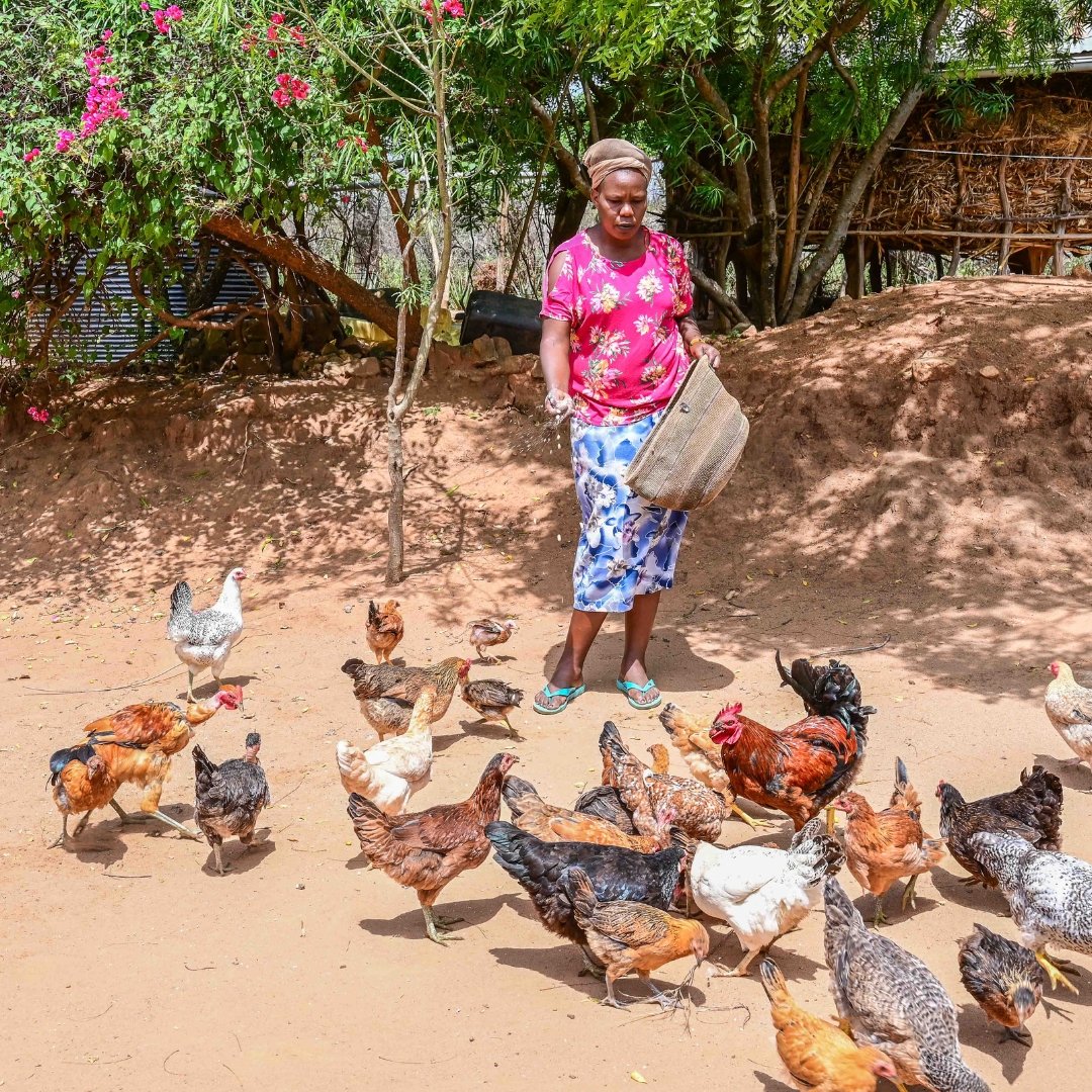 After closing her hotel business due to health complications and the demand to care for her daughter, Faith, who has special needs, Jeneffer found hope through World Vision’s #GREEN project.

She embraced #FMNR, improving her environment and providing a source of firewood. Today,