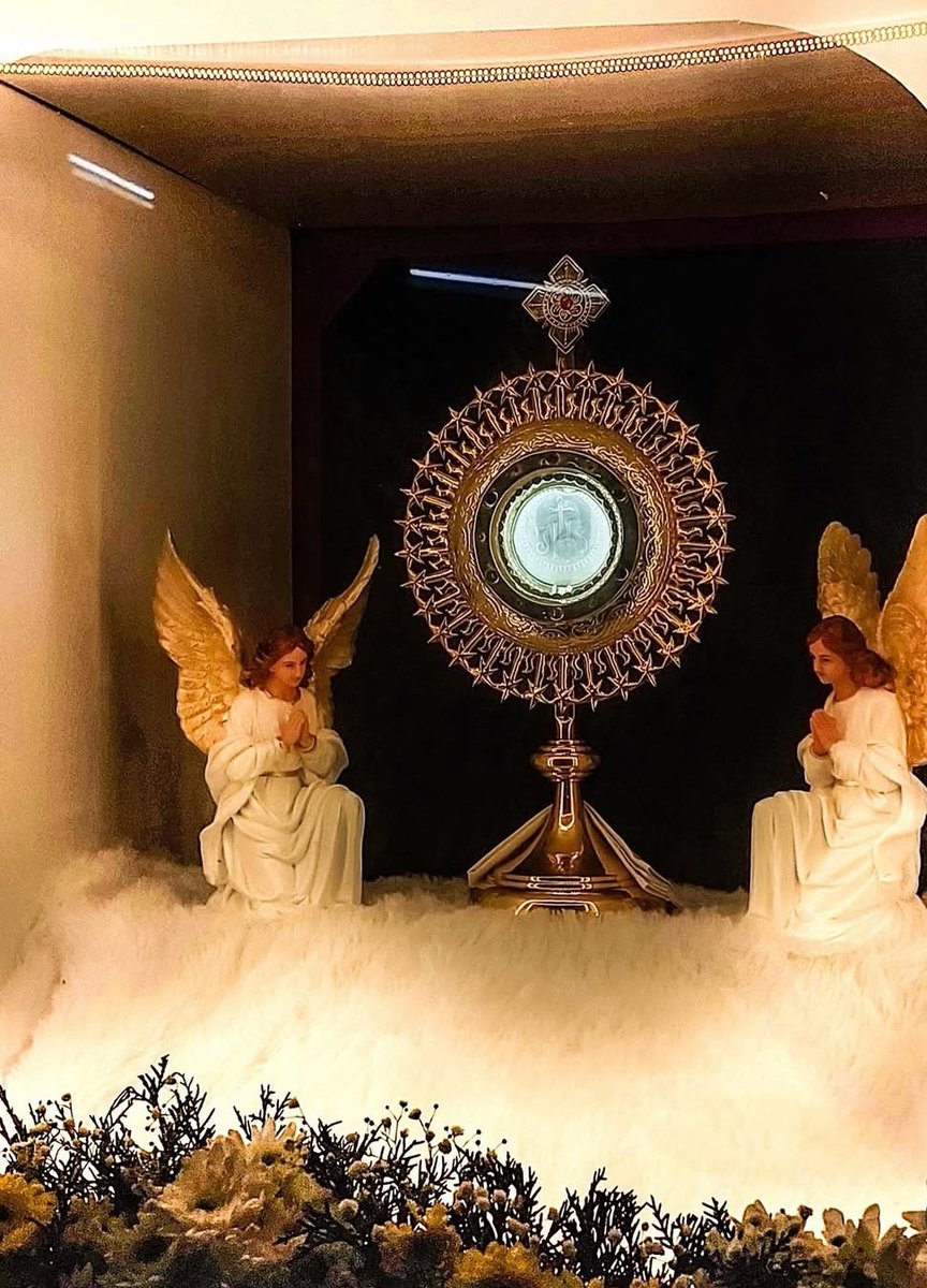 CatholicQuote12's tweet photo. "The Holy Eucharist is the perfect expression of the love of Jesus Christ for man."-

Saint Maria Goretti https://t.co/AQlwvMSswp