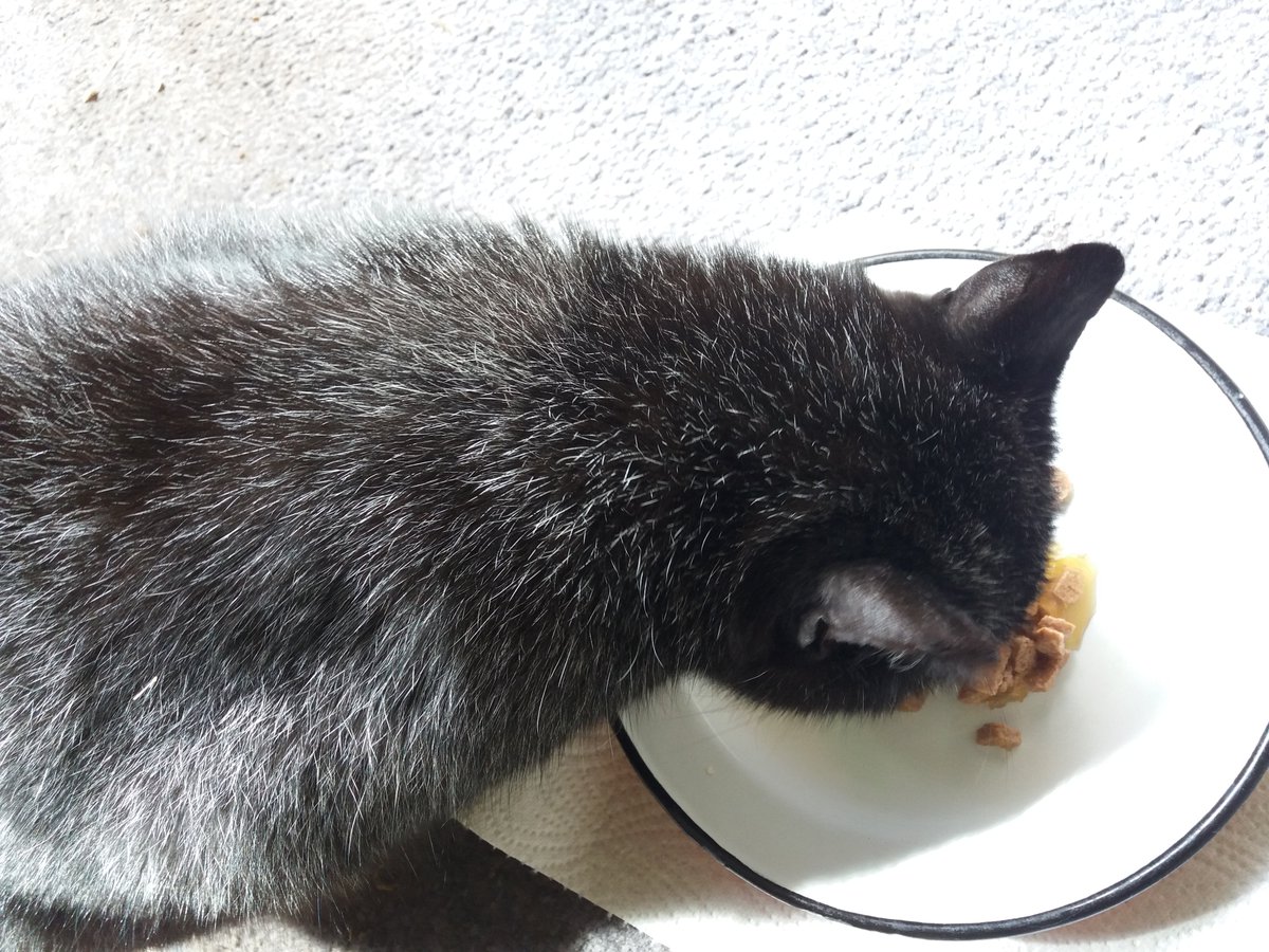 Besuch. 
Euch einen schönen Tag!