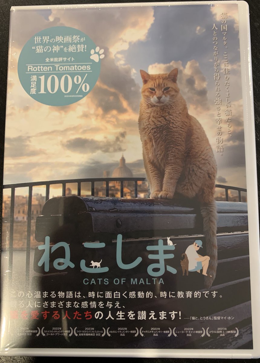 midorinojo's tweet photo. @CatsofMaltaDoco 

Arrived! 🇯🇵 https://t.co/WIa6IPZJAq