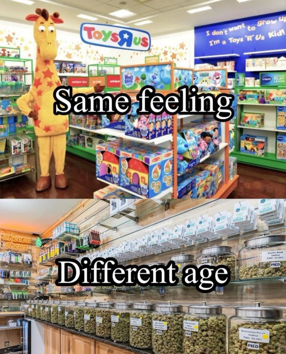 Stoner Barbie tweet media