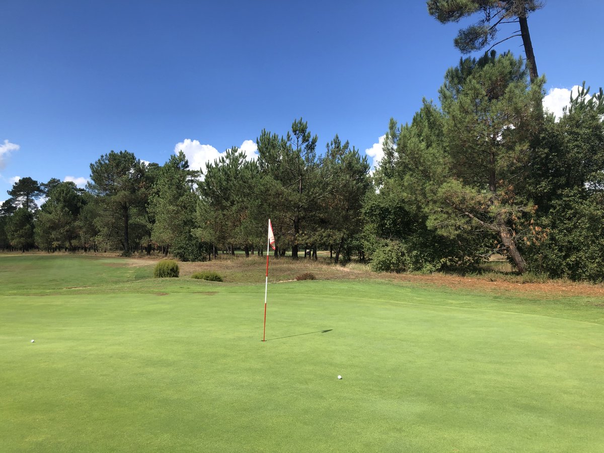 A Golfing Experience tweet media