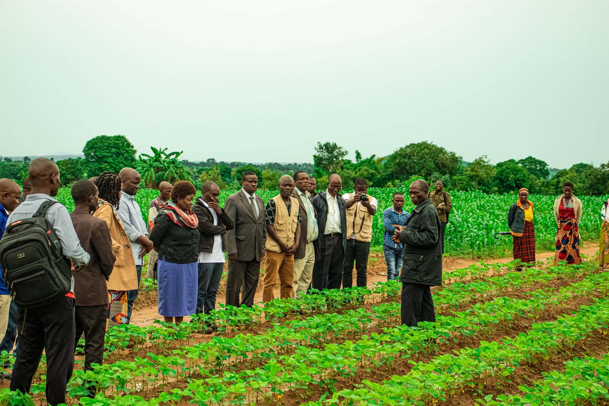 Humana People to People supports all projects aimed at addressing Climate Change with funds generated from the sale of second-hand clothes, promoting resilience and adaptation to its impacts. #ReduceReuseRecycle