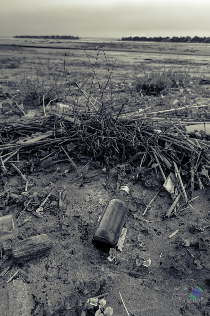 今日はモノクロな日
帰ろう
#Photography