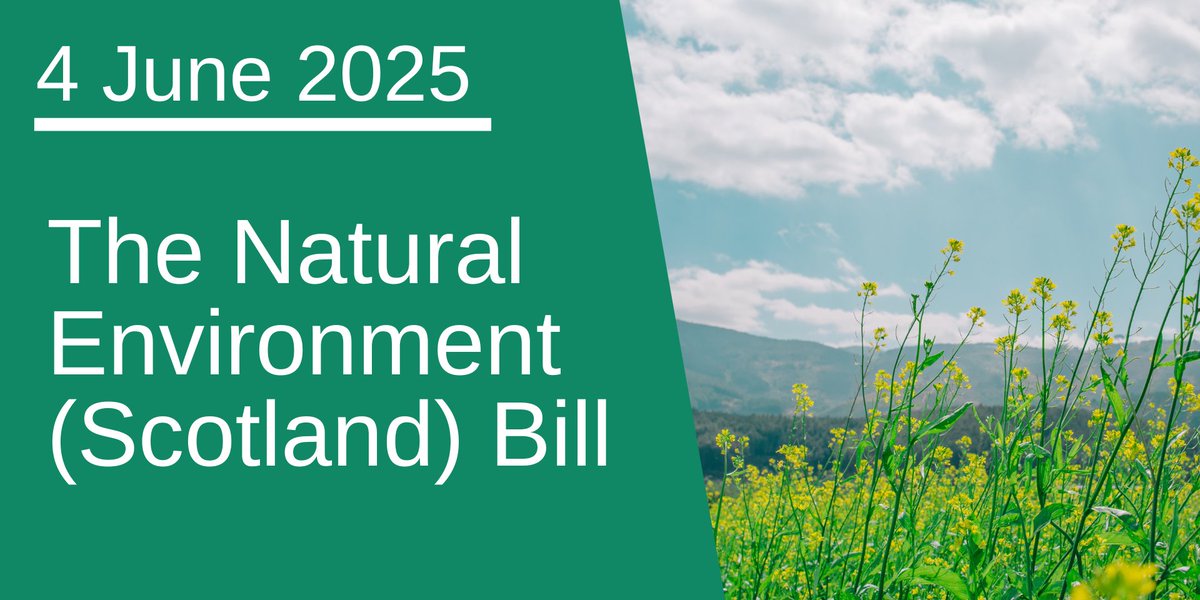 SP_RuralAffairs's tweet image. Natural Environment (Scotland) Bill
Tomorrow, we complete our Stage 1 evidence hearing from @GillianMSP, Acting Cab Sec for Net Zero & Energy; @JimFairlieLogie, Minister for Agriculture & Connectivity, & supporting officials.
Join us live at 9am馃憠ow.ly/pOwf50W38H2