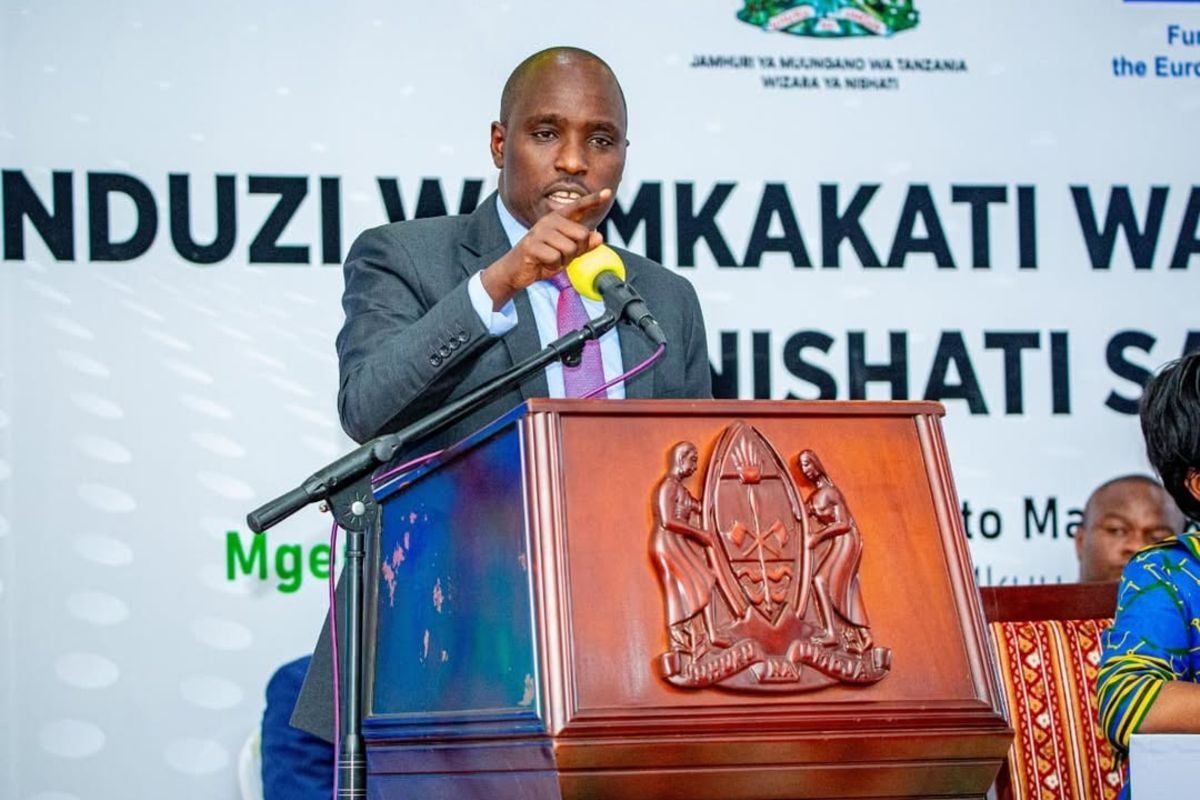 New plan to accelerate adoption of clean cooking energy 

thecitizen.co.tz/tanzania/news/…