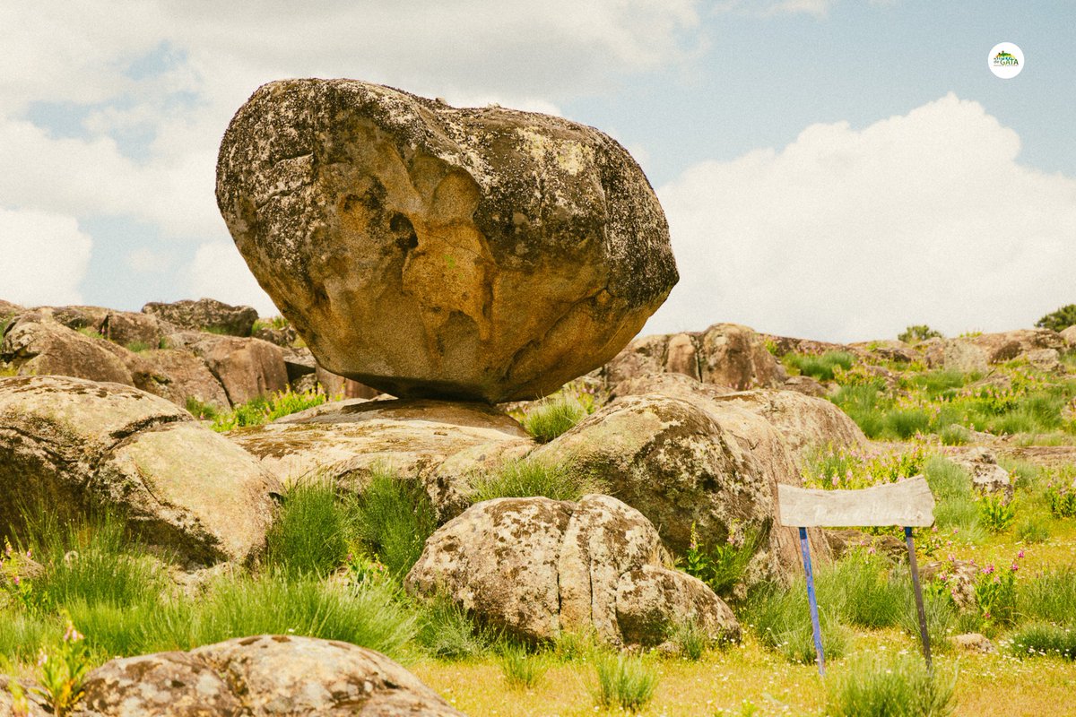 La Piedra de Hércules – Villasbuenas de Gata
En el corazón del Parque Cultural Sierra de Gata, la naturaleza esculpe su propia mitología.

#VillasbuenasDeGata #SierraDeGataNatural #FormacionesRocosas #ParqueCulturalSierraDeGata #ExtremaduraSorprendente #Geoturismo