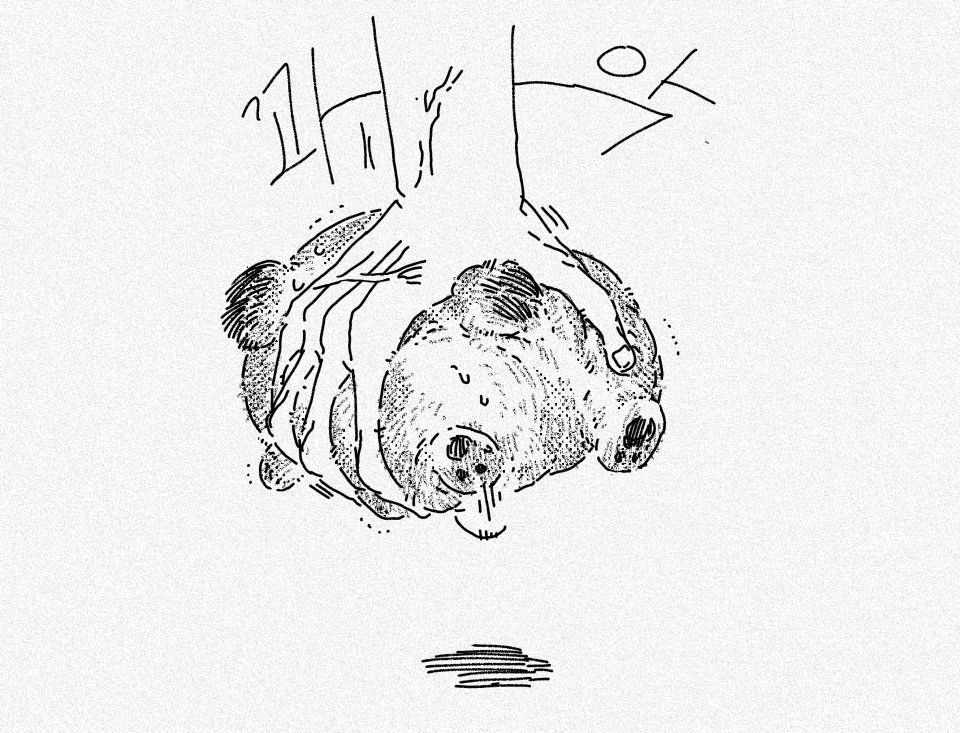 3원도 (@oal2022) on Twitter photo 