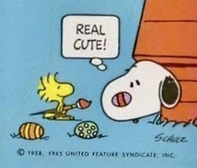 🐶D-211🐶
#김재환 #KIMJAEHWAN