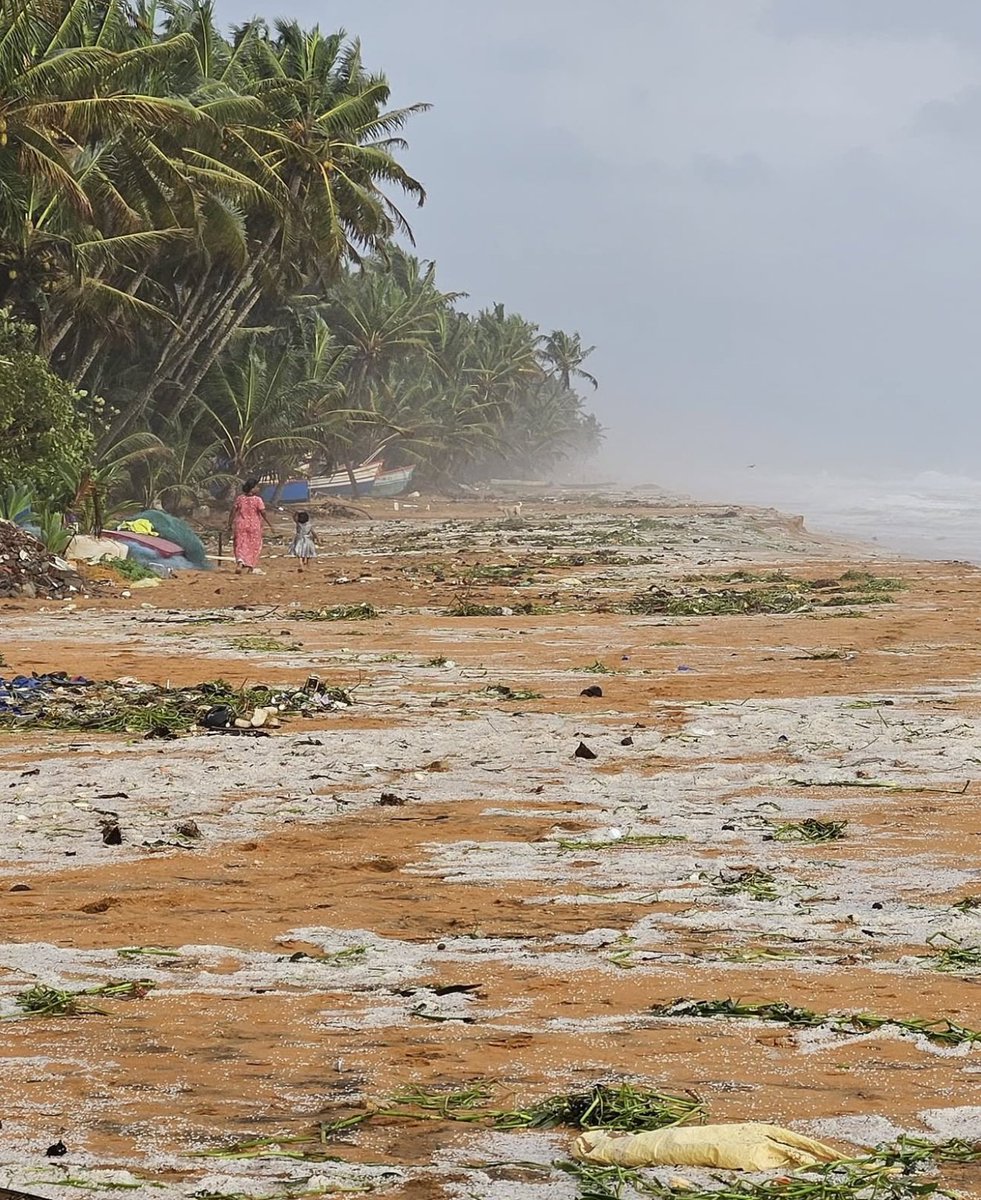 #Nurdles are still washing up along India’s coast after a container ship sank in the Malabar Upwelling Region — one of the world’s key ocean zones that supports fisheries. These #plasticpellets threaten vital fish stocks.

Read more ⬇️ nurdlehunt.org.uk/news/nurdle-sp…
📷credit: S Modi