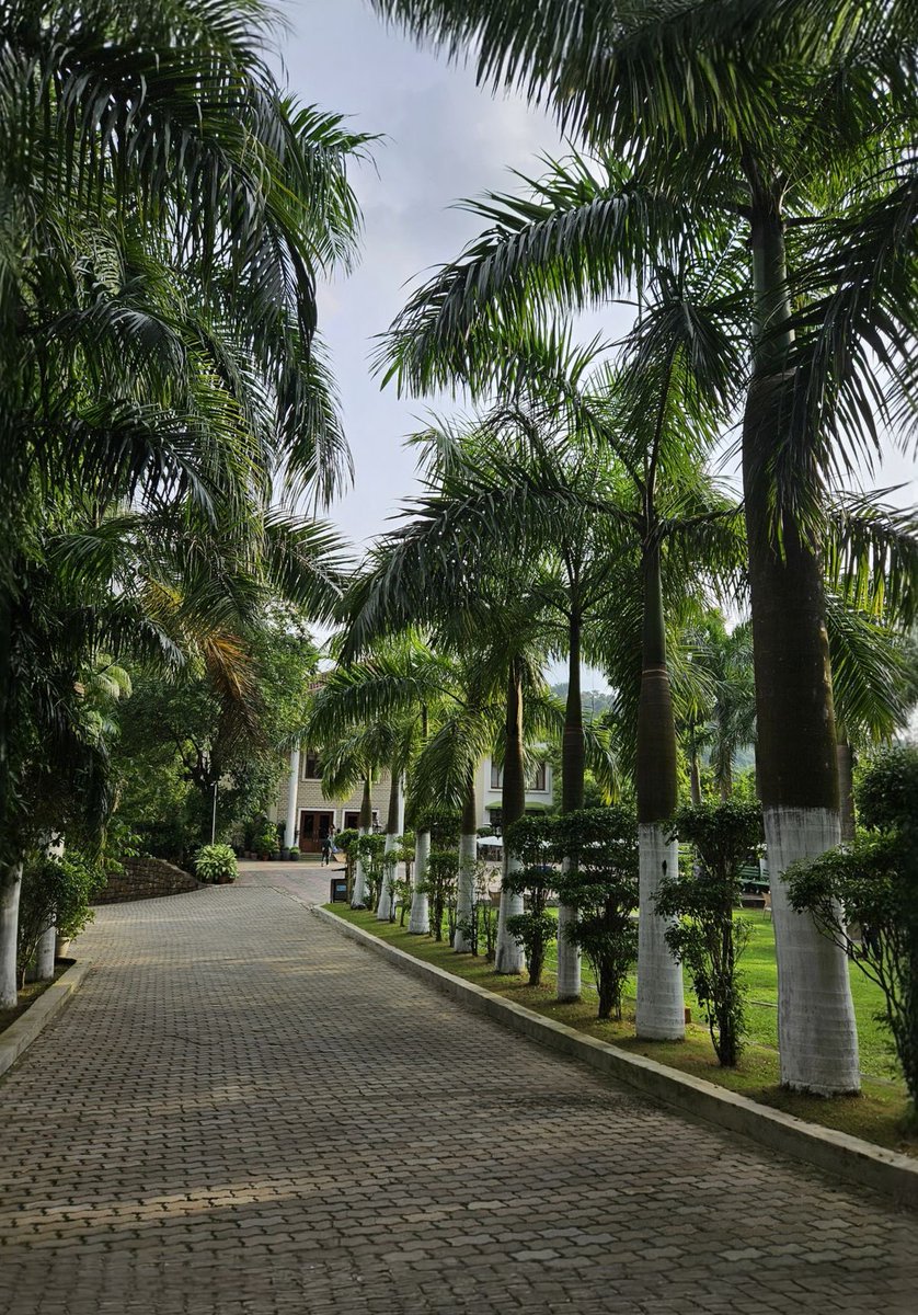 Such a welcoming driveway