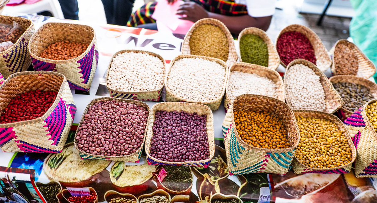 <a href="/pelum_uganda/">PELUM Uganda</a> , <a href="/KipoliQuin1UG/">☀️ Diana 🌹Maama Kipoli 😋</a> , <a href="/ESAFFUG/">ESAFF Uganda</a> are among many Agroecology drivers that will be showcasing Organic/Agroecologically grown foods and heritage seeds. 
So plan and come with a farmer friend to learn, buy &amp; implement organic farming systems.

#AgricShow25
#AgricEducShow25