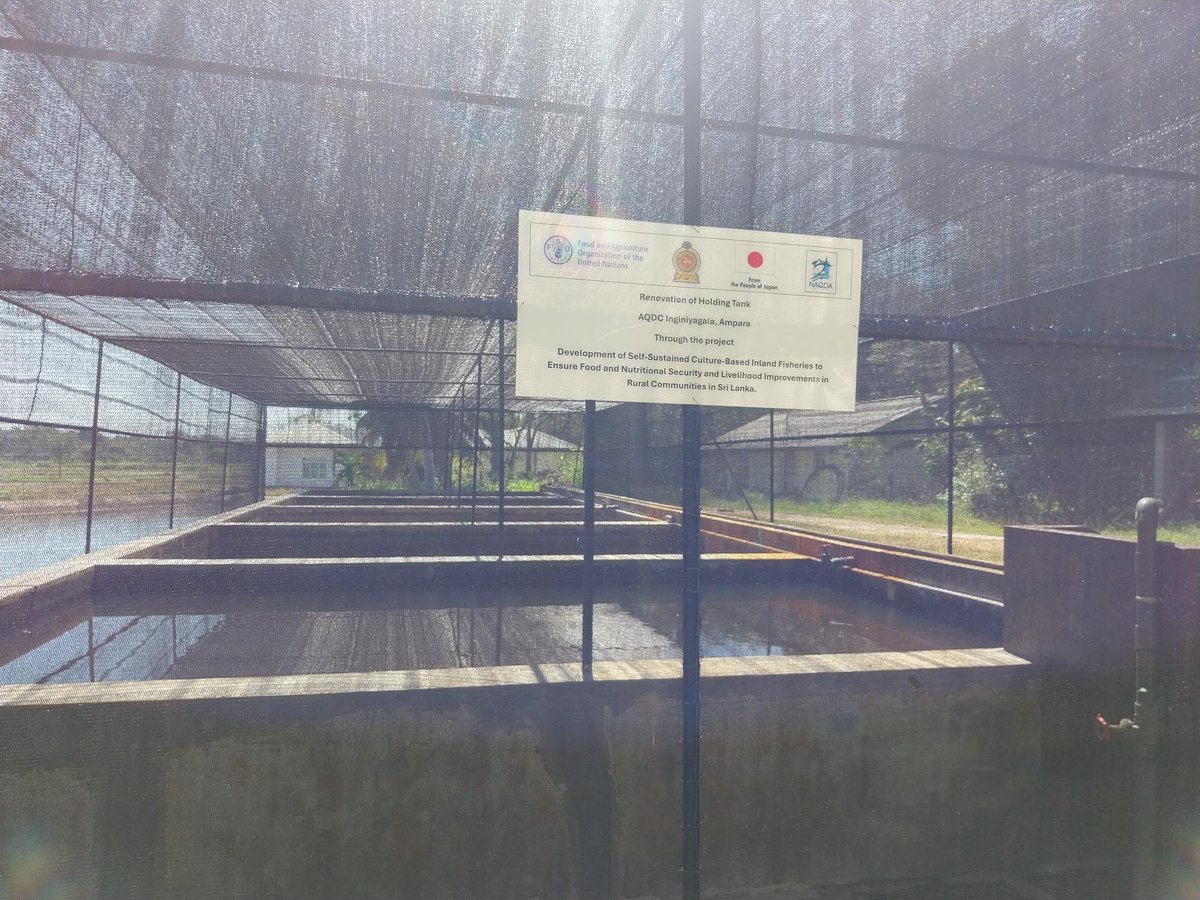 Empowering rural #SriLanka through sustainable inland fisheries!
Our project focuses on enhancing fish seed production, reservoir management, and market access to boost #FoodSecurity and livelihoods. Together we build resilient, inclusive communities.  #SustainableFisheries