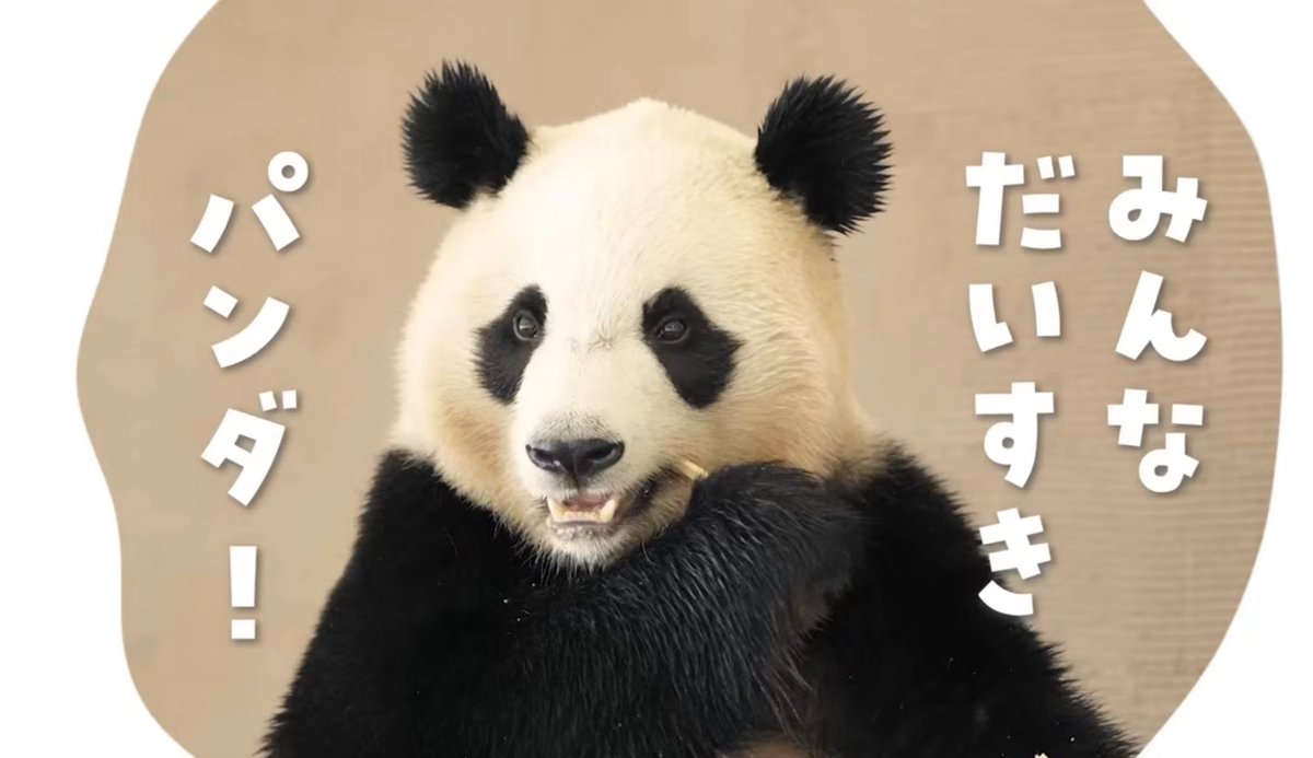 ピクニックワールド さるパンダ被り物 4兄弟⁈ さかなのおにいさん かわちゃん on X: