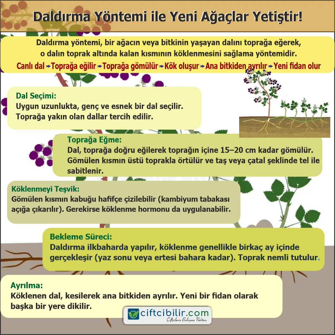 Daha fazla bilgiye sitemizin Tarım Kütüphanesi bölümünden ulaşabilirsiniz.
İlanlarınızı sitemizde ücretsiz yayınlayabilirsiniz...
ciftcibilir.com