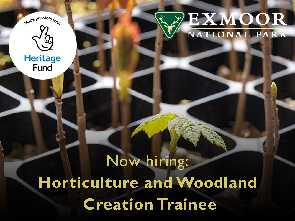Join Team Exmoor - We're looking for a Horticulture and Woodlands Creation Trainee for a 12-month fixed term contract. 

Full details here:
exmoor-nationalpark.gov.uk/enpa/working-w…

This position is supported by the Exmoor Pioneers Project and is made possible by <a href="/HeritageFundUK/">The National Lottery Heritage Fund</a>