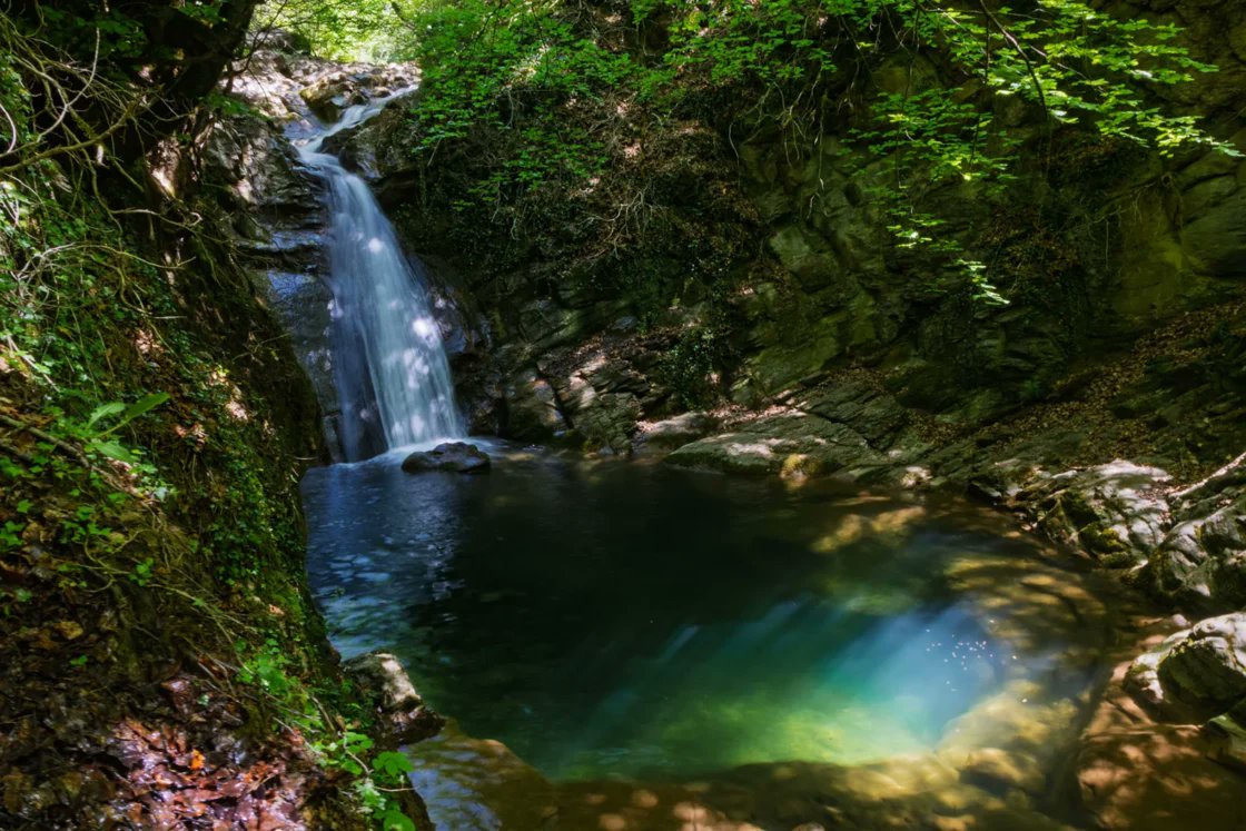 Javier García Blanco tweet media