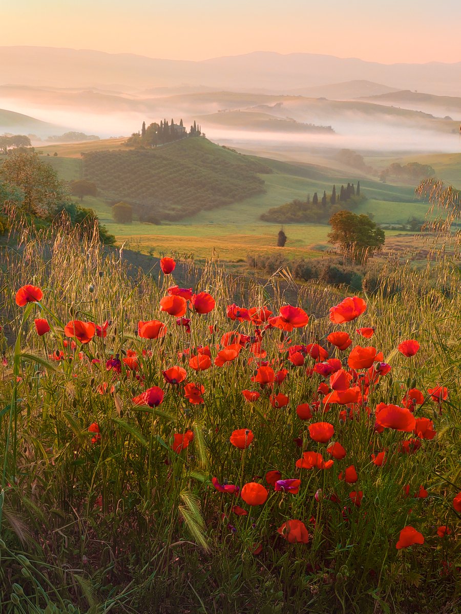 A fairytale in Tuscany. Fun fact: Taken with my smartphone.