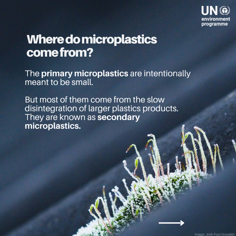 UNEP's tweet photo. Microplastics are everywhere — from the ocean floor to Mount Everest, and even in our bodies.

But what are they, why should we care, and what can we do about them?

Ahead of June 5, #WorldEnvironmentDay, swipe to discover more.