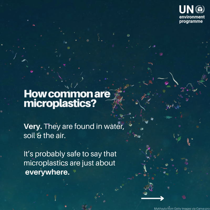 UNEP's tweet photo. Microplastics are everywhere — from the ocean floor to Mount Everest, and even in our bodies.

But what are they, why should we care, and what can we do about them?

Ahead of June 5, #WorldEnvironmentDay, swipe to discover more.